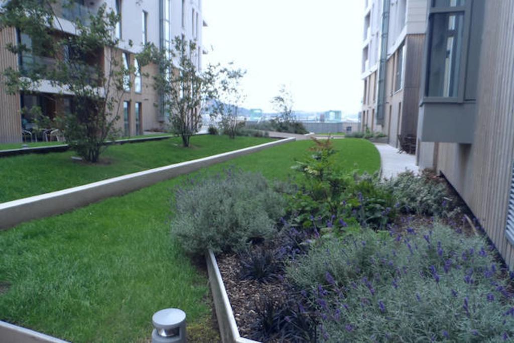 Ck Serviced Apartments Belfast Dış mekan fotoğraf